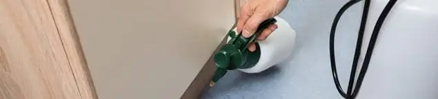 Bed bug exterminator treating baseboards and cracks with targeted spray in Providence, RI