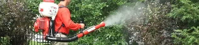 Mosquito control technician fogging shrubs and landscaping for mosquito treatment in Providence, RI