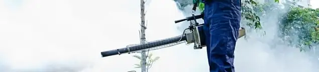 Pest control technician fogging an outdoor area for insect control in Providence, RI