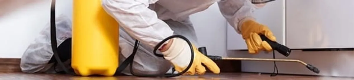 Roach exterminator treating cracks and crevices along kitchen baseboards in Providence, RI