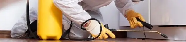 Roach exterminator treating cracks and crevices along kitchen baseboards in Providence, RI