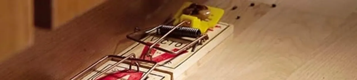 Rodent trap set indoors for rodent control and prevention in Providence, RI