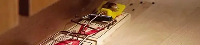 Rodent trap set indoors for rodent control and prevention in Providence, RI